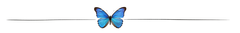 Techie Butterfly Singer profile
          image
